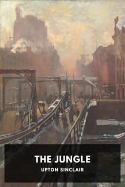 cover image for The Jungle