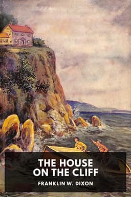 cover image for The House on the Cliff