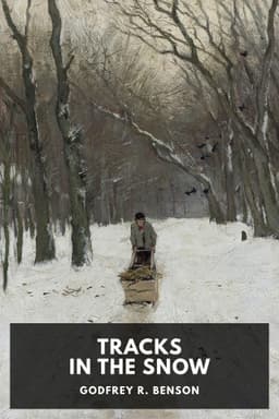 cover image for Tracks in the Snow