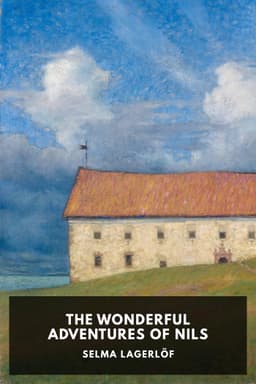 cover image for The Wonderful Adventures of Nils