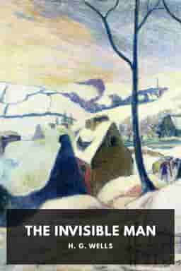 cover image for The Invisible Man
