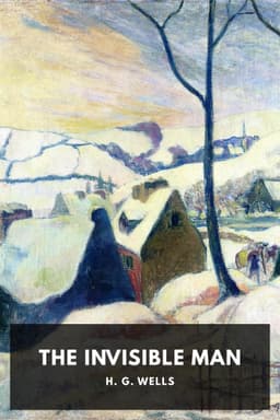 cover image for The Invisible Man
