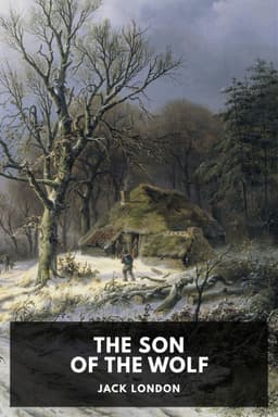 cover image for The Son of the Wolf