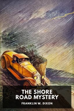 cover image for The Shore Road Mystery