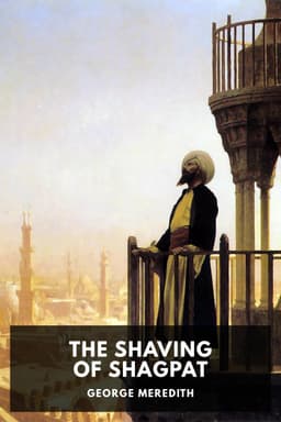 cover image for The Shaving of Shagpat