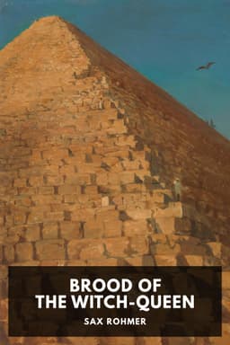 cover image for Brood of the Witch-Queen