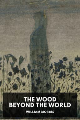 cover image for The Wood Beyond the World