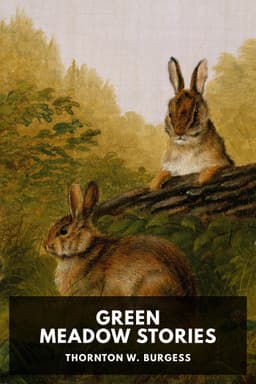 cover image for Green Meadow Stories